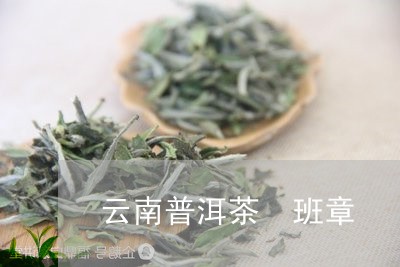 云南普洱茶 班章/2023031751794